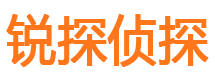 驿城侦探公司